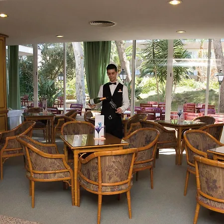 Отель Riu Concordia 4*