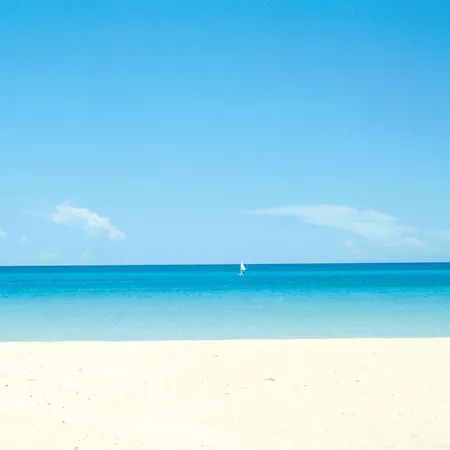 فندق Riu Concordia 4*