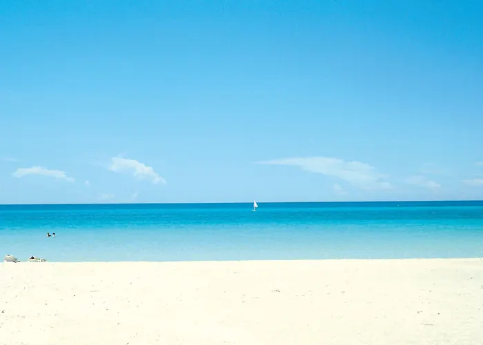 Hotel Riu Concordia 4*