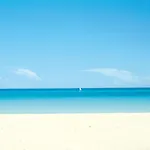 Hotel Riu Concordia 4*